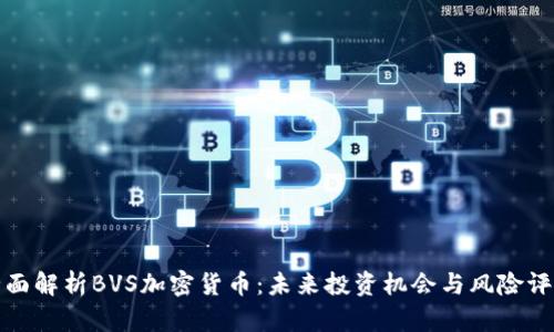 全面解析BVS加密货币：未来投资机会与风险评估