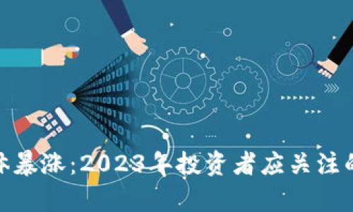 加密货币集体暴涨：2023年投资者应关注的趋势与机遇