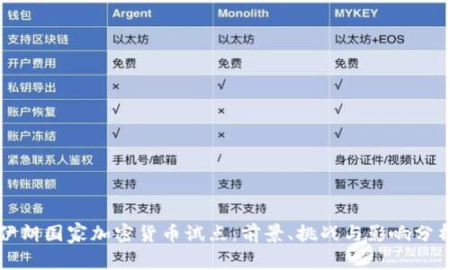 伊朗国家加密货币试点：前景、挑战与影响分析