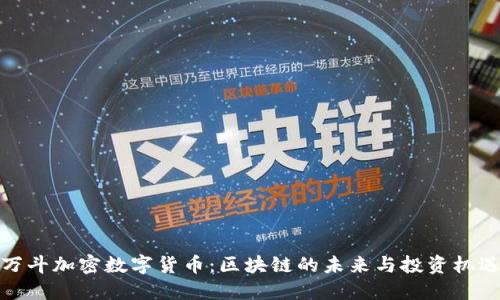 万斗加密数字货币：区块链的未来与投资机遇