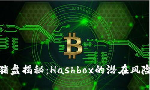 加密货币杀猪盘揭秘：Hashbox的潜在风险与防范策略