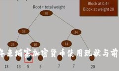 2023年柬埔寨加密货币使用