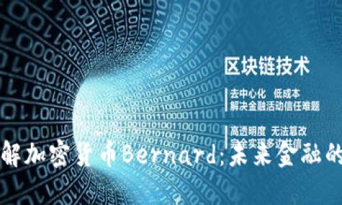 深入了解加密货币Bernard：未来金融的革命者