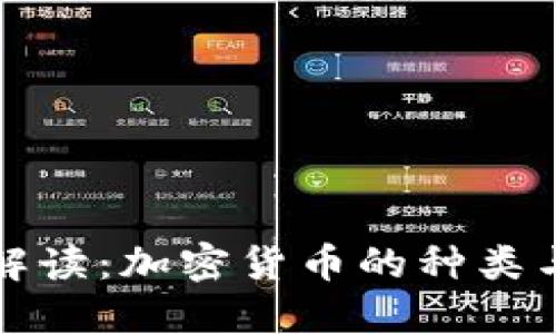 全面解读：加密货币的种类与特点