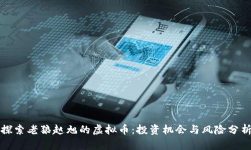 探索老狼赵旭的虚拟币：投资机会与风险分析