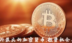 2023年国外最火的加密货币