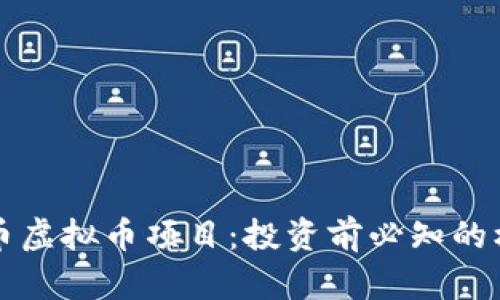 揭秘猪币虚拟币项目：投资前必知的核心要素