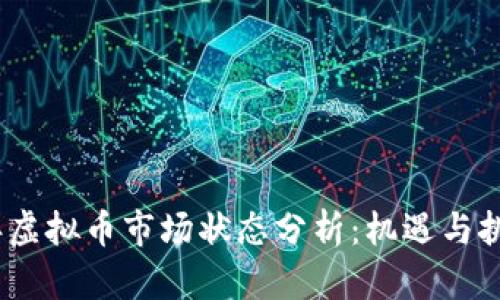2023年虚拟币市场状态分析：机遇与挑战并存
