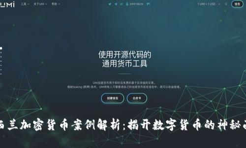 新西兰加密货币案例解析：揭开数字货币的神秘面纱