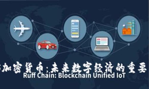 DGS加密货币：未来数字经济的重要角色