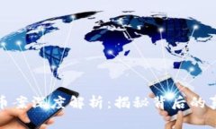 大冶虚拟币案深度解析：