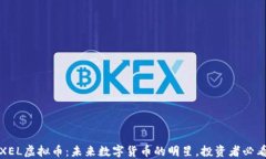 XEL虚拟币：未来数字货币