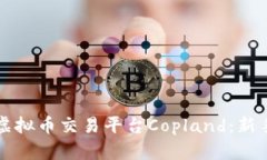全面解析虚拟币交易平台