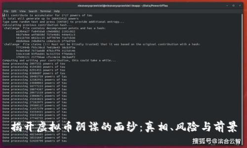 揭开虚拟币阴谋的面纱：真相、风险与前景