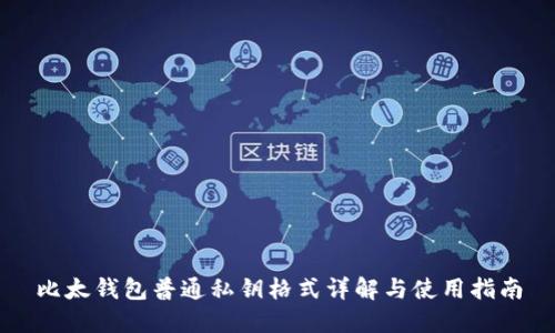 比太钱包普通私钥格式详解与使用指南