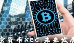 深入了解加密货币XEC：未