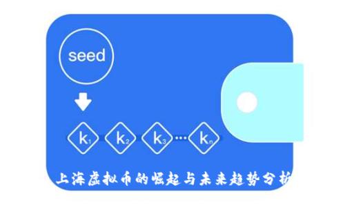 上海虚拟币的崛起与未来趋势分析