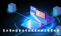 墨西哥加密货币市场发展