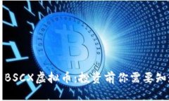 深入解析BSCX虚拟币：投资
