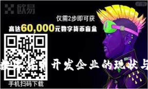 中国加密数字货币开发企业的现状与发展前景