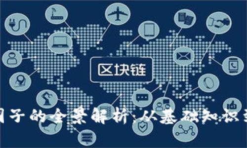 加密货币圈子的全景解析：从基础知识到未来趋势