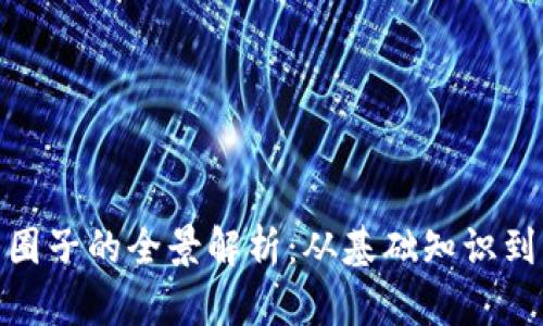 加密货币圈子的全景解析：从基础知识到未来趋势