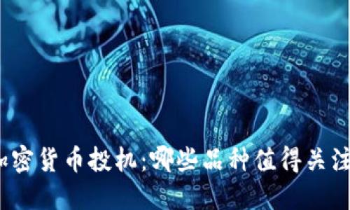 加密货币投机：哪些品种值得关注？