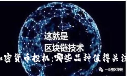加密货币投机：哪些品种值得关注？
