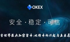 探索世界最大加密货币：