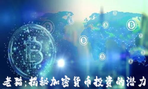 
虚拟币老猫：揭秘加密货币投资的潜力与风险