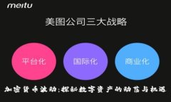 加密货币波动：探秘数字