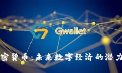 杜马加密货币：未来数字