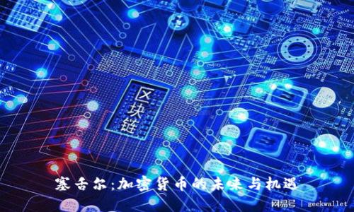 塞舌尔：加密货币的未来与机遇