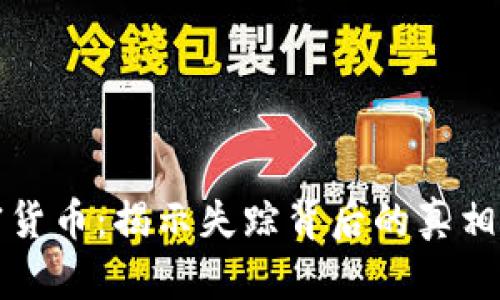 消失的加密货币：揭示失踪背后的真相与未来趋势