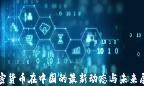 
加密货币在中国的最新动态与未来展望