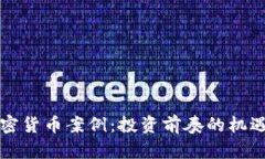 韩国加密货币案例：投资前奏的机遇与挑战