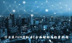 什么是PUN虚拟币？全面解析及投资指南
