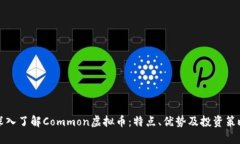 深入了解Common虚拟币：特点、优势及投资策略