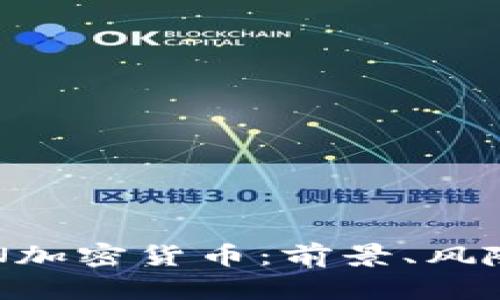 深入解析RCN加密货币：前景、风险与投资机会