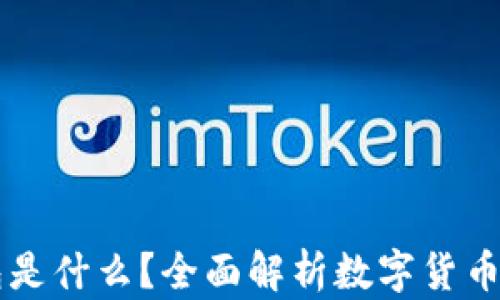 
虚拟币钱包是什么？全面解析数字货币安全与使用