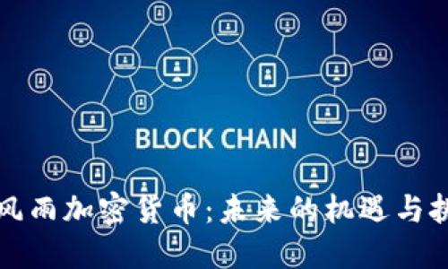 暴风雨加密货币：未来的机遇与挑战