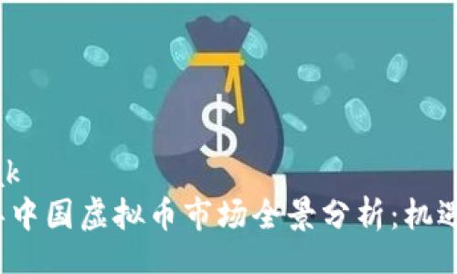 nobreak
2023年中国虚拟币市场全景分析：机遇与挑战