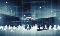 国内虚拟加密货币的现状与发展趋势