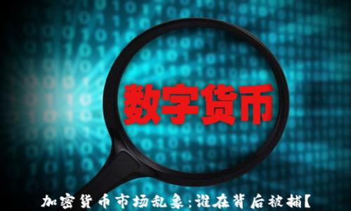 
加密货币市场乱象：谁在背后被捕？
