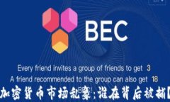 加密货币市场乱象：谁在背后被捕？