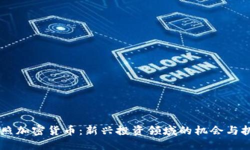 日照加密货币:新兴投资领域的机会与挑战