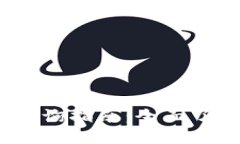 2024年虚拟币价格查询指南：全面了解数字货币市