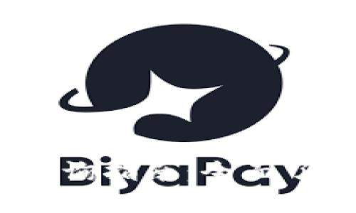 2024年虚拟币价格查询指南：全面了解数字货币市场动态