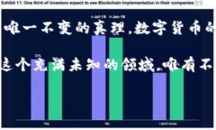   比特币与虚拟货币的未来：谁将引领变革？ /