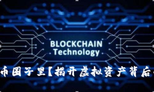 谁在加密货币圈子里？揭开虚拟资产背后的神秘面纱！